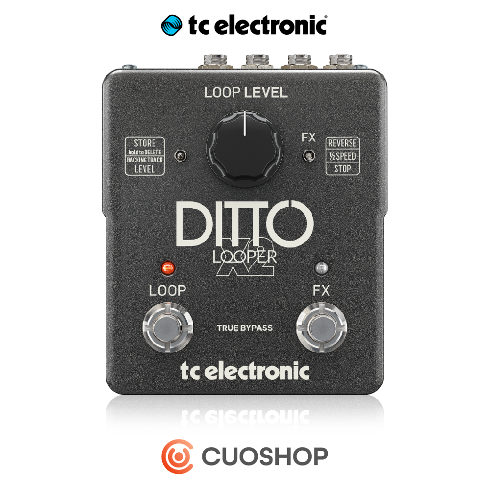 TC Electronic DITTO X2 디토 루퍼  티씨일렉트로닉 기타 이펙터 페달