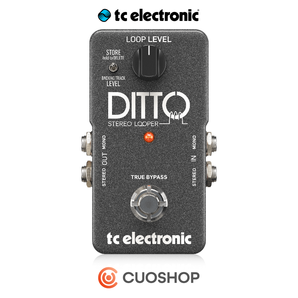 TC Electronic DITTO Stereo Looper 루퍼  티씨일렉트로닉 기타 이펙터 페달